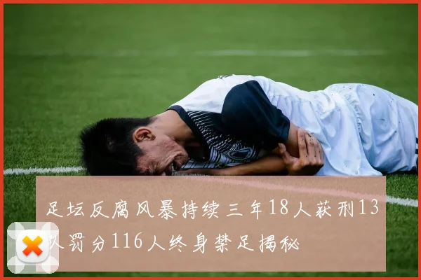 足坛反腐风暴持续三年18人获刑13队罚分116人终身禁足揭秘