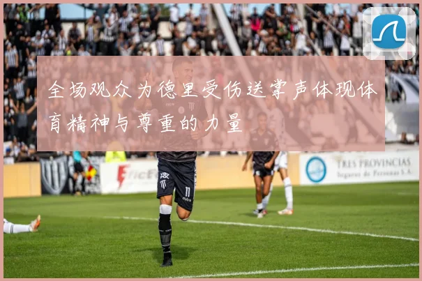 全场观众为德里受伤送掌声体现体育精神与尊重的力量
