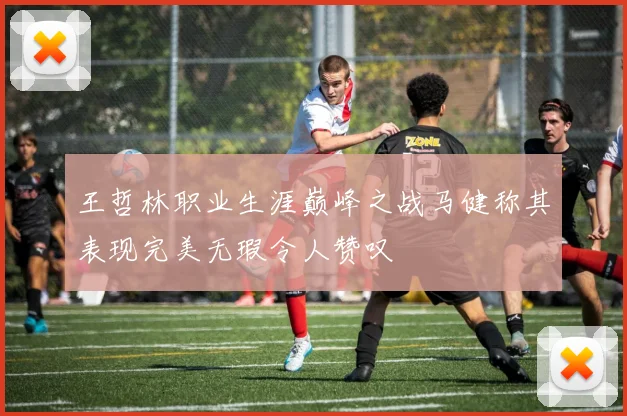 王哲林职业生涯巅峰之战马健称其表现完美无瑕令人赞叹